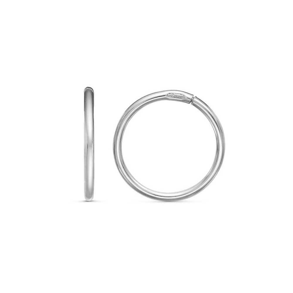 330467Д Серьги (Ag 925)